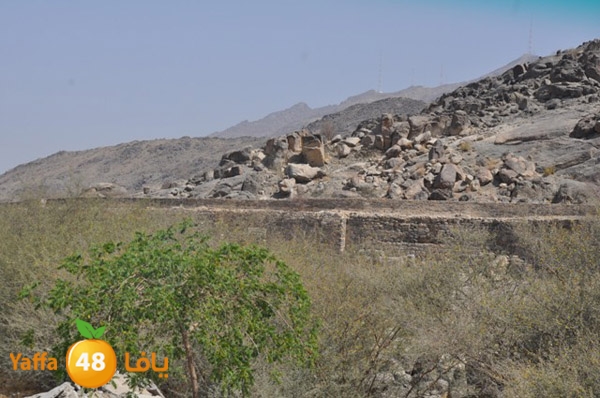 3omranewyaffa326 (56).JPG